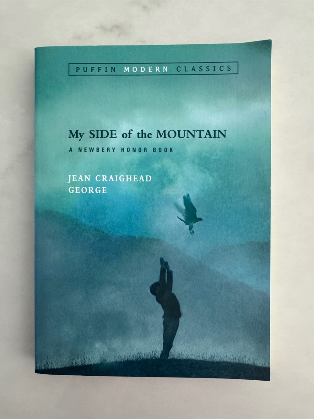 My Side of the Mountain - Jean Craighead George